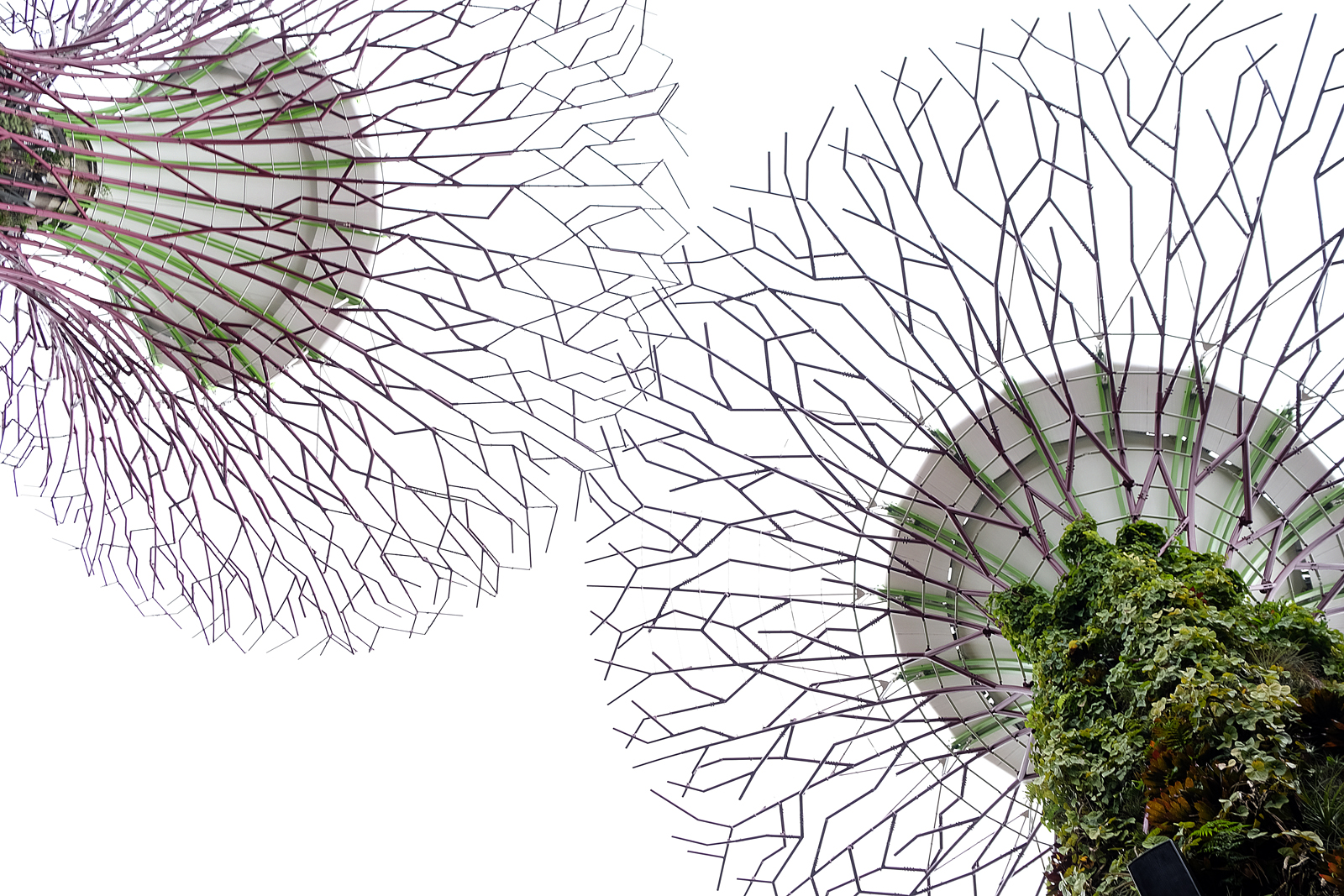Singapore structures - Nigel Humphies